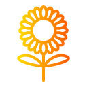 girasol icon