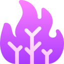 incendio forestal icon