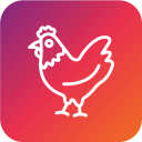 pollo icon