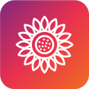 girasol icon