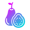 guayaba icon