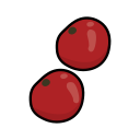 manzana icon