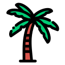 palmera