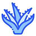 aloe vera icon