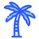 palmera icon