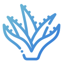 aloe vera icon