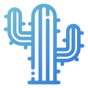 cactus icon