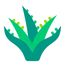 aloe vera icon