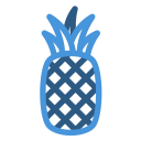 piña icon