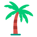 palmera icon