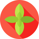 albahaca icon