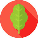 espinaca icon