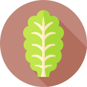 lechuga icon