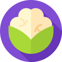 coliflor icon