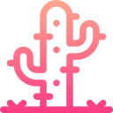 cactus icon