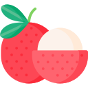 lychee icon