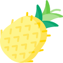 piña icon