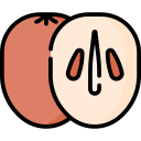 Sapodilla icon