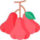 manzana de agua icon