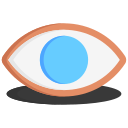 ojo icon