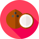 coco icon