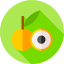 longan icon