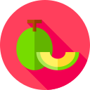 melón icon