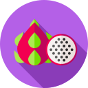 dragon de fruta icon