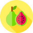 guayaba icon