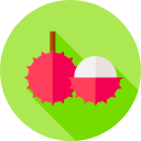 rambután icon