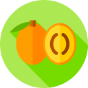 Sapodilla icon