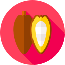 Cacao icon