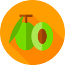 aceituna icon