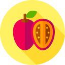 tamarillo icon