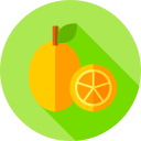 kumquats icon