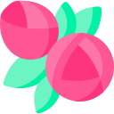 rosa icon