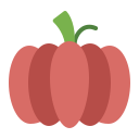 calabaza icon