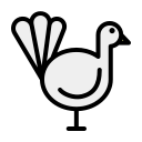 pollo icon