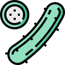 pepino icon