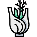 hinojo icon