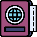 pasaporte icon