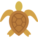 tortuga marina icon