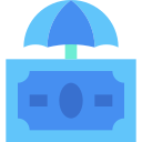 seguro icon