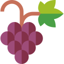 uvas icon