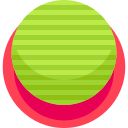 Fitball icon