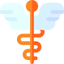 farmacia icon