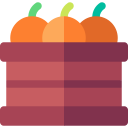 fruta icon