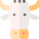 vaca 