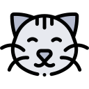 gato icon