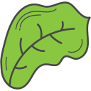 lechuga icon